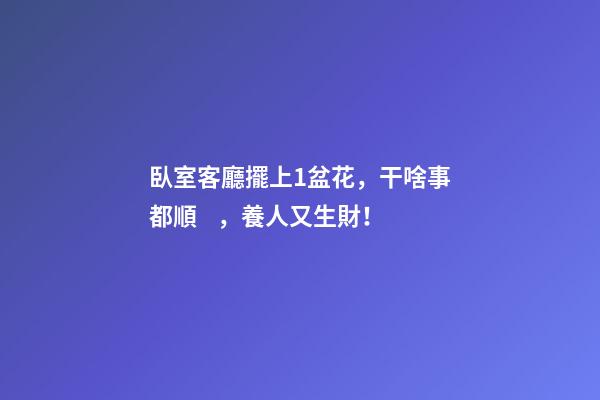 臥室客廳擺上1盆花，干啥事都順，養人又生財！
